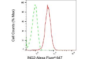 Flow cytometric analysis of ING2 expression in HepG2 cells using ING2 antibody (ABIN7799032), 1:2,000). (Rekombinanter ING2 Antikörper)