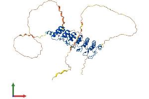 AlphaFold protein structure predicition of Human Recombinant BCL3 Protein, UniprotID P20749 (BCL3 Protein (AA 1-454) (His tag))