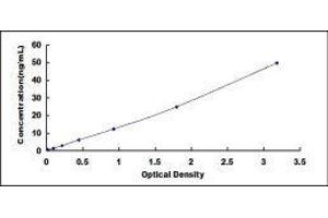 Thrombospondin 3 (THBS3) ELISA Kit