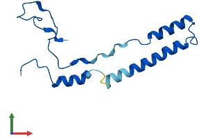 AlphaFold protein structure predicition of Human Recombinant CHCHD1 Protein, UniprotID Q96BP2