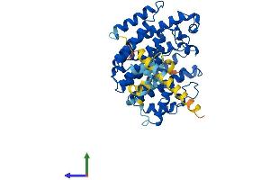 Protein Structure (PS) image for Farnesyl-Diphosphate Farnesyltransferase 1 (FDFT1) (AA 1-417) protein (His tag) (ABIN7547680)