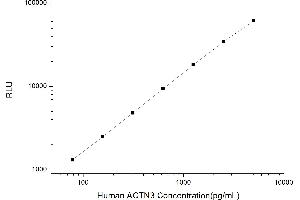 Typical standard curve (ACTN3 CLIA Kit)