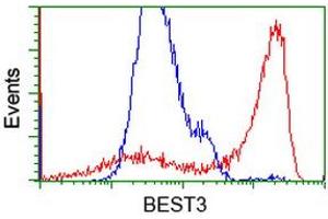 Flow Cytometry (FACS) image for anti-Bestrophin 3 (BEST3) antibody (ABIN1501729) (Bestrophin 3 Antikörper)