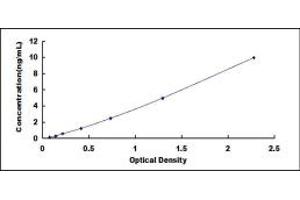 Typical standard curve (Neuregulin 2 ELISA Kit)