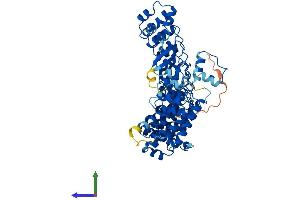 Protein Structure (PS) image for Fem-1 Homolog A (FEM1A) (AA 1-654) protein (His tag) (ABIN7556430)