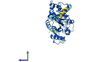 Protein Structure (PS) image for Guanine Nucleotide Binding Protein (G Protein), Q Polypeptide (GNAQ) (AA 1-359) protein (His tag) (ABIN7562956)