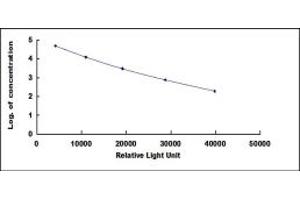 ELISA image for Luteinizing Hormone (LH) CLIA Kit (ABIN4947830)