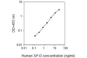ELISA image for Surfactant Protein D (SFTPD) ELISA Kit (ABIN2703467)