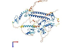 CXXC1 Protein (AA 1-656) (His tag)