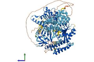 Protein Structure (PS) image for Interferon Induced with Helicase C Domain 1 (IFIH1) (AA 1-1025) protein (His tag) (ABIN7564717)