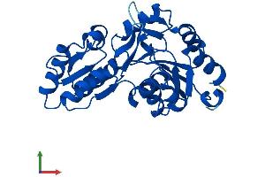 Protein Structure (PS) image for Phospholysine Phosphohistidine Inorganic Pyrophosphate Phosphatase (LHPP) (AA 1-270) protein (His tag) (ABIN7549041)