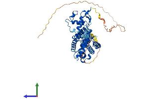 Protein Structure (PS) image for Nuclear Receptor Subfamily 1, Group H, Member 2 (NR1H2) (AA 1-446) protein (His tag) (ABIN7557585)