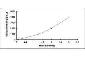 ELISA image for Cystatin A (Stefin A) (CSTA) ELISA Kit (ABIN424393)