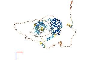 ORC2 Protein (AA 1-577) (His tag)