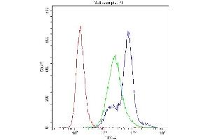 Flow Cytometry analysis of K562 cells using anti-PKC-eta antibody (ABIN3043361). (PKC eta Antikörper  (AA 30-389))