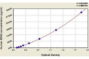 Endothelin 2 ELISA Kit