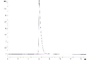 Size-exclusion chromatography-High Pressure Liquid Chromatography (SEC-HPLC) image for Glypican 1 (GPC1) (AA 24-530) protein (His tag) (ABIN7274773)