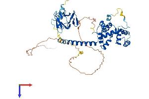 MCRS1 Protein (AA 1-462) (His tag)