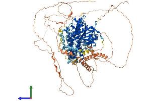 Protein Structure (PS) image for Lipase, Hormone-Sensitive (LIPE) (AA 1-1076) protein (His tag) (ABIN7554402)