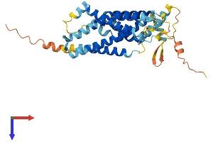 GPR160 Protein (AA 1-336) (His tag)