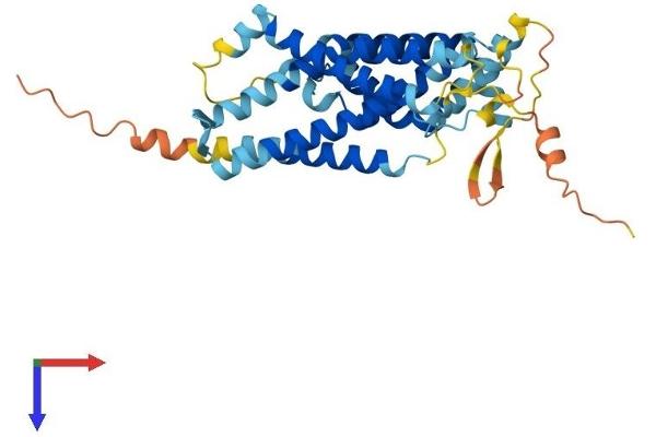 GPR160 Protein (AA 1-336) (His tag)