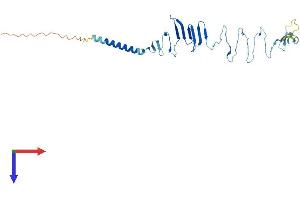 SGCD Protein (AA 1-289) (His tag)