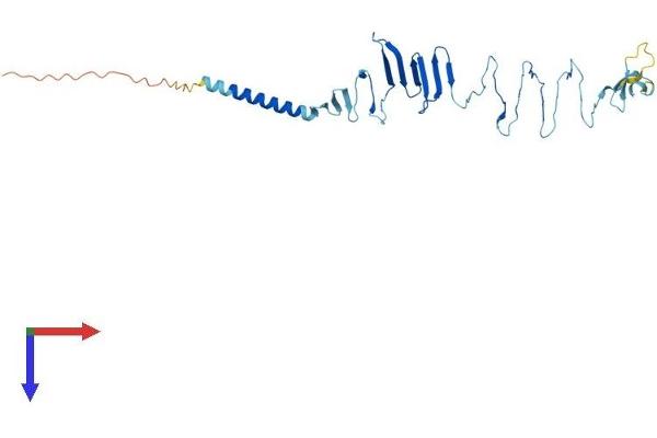 SGCD Protein (AA 1-289) (His tag)