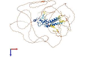 LIN54 Protein (AA 1-749) (His tag)