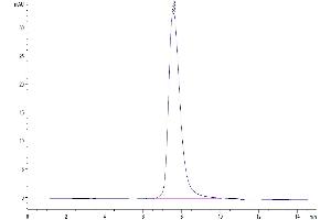 The purity of Biotinylated Human Fc gamma RIIIB (NA2) is greater than 95 % as determined by SEC-HPLC. (FCGR3B Protein (His-Avi Tag,Biotin))