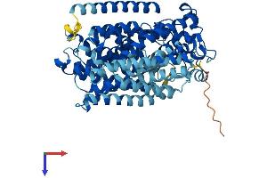 SLC5A10 Protein (AA 1-596) (His tag)