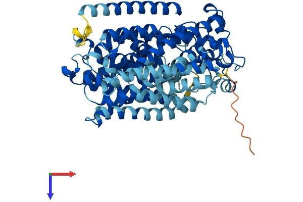 SLC5A10 Protein (AA 1-596) (His tag)