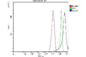 Flow Cytometry analysis of RT4 cells using anti-HCLS1 antibody (ABIN7600645). (HCLS1 Antikörper  (AA 213-473))