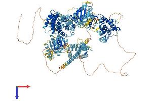 MAP3K15 Protein (AA 1-1313) (His tag)