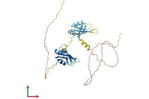 Protein Structure (PS) image for Heterogeneous Nuclear Ribonucleoprotein A/B (HNRNPAB) (AA 1-332) protein (His tag) (ABIN7551550)