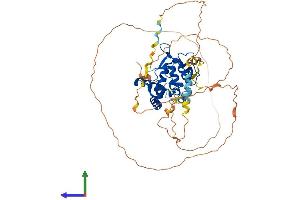 Protein Structure (PS) image for Nuclear Factor I/A (NFIA) (AA 1-509) protein (His tag) (ABIN7549698)
