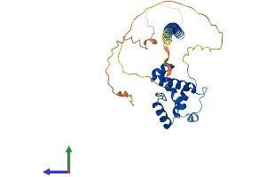 Protein Structure (PS) image for Coiled-Coil Domain Containing 106 (CCDC106) (AA 1-279) protein (His tag) (ABIN7557222)