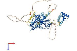 KIF22 Protein (AA 1-660) (His tag)