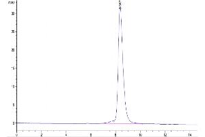 Size-exclusion chromatography-High Pressure Liquid Chromatography (SEC-HPLC) image for Guanylate Cyclase 2C (Heat Stable Enterotoxin Receptor) (GUCY2C) (AA 24-430) protein (His-Avi Tag,Biotin) (ABIN7274717)