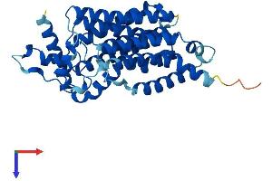 G6PC Protein (AA 1-357) (His tag)