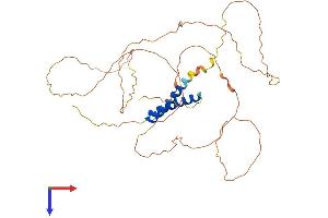 SS18L1 Protein (AA 1-396) (His tag)