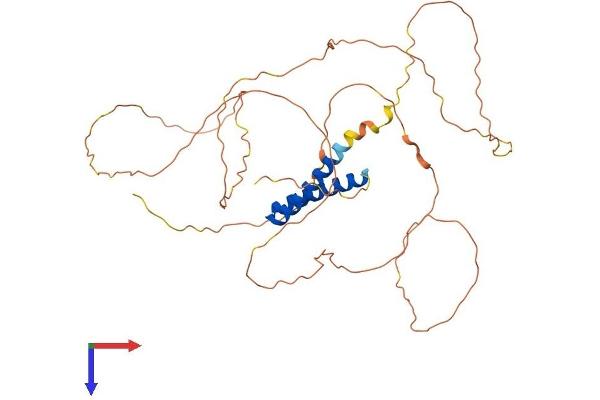 SS18L1 Protein (AA 1-396) (His tag)