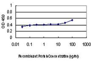 ELISA image for anti-Distal-Less Homeobox Protein 2 (DLX2) (AA 1-110) antibody (ABIN598648) (DLX2 Antikörper  (AA 1-110))