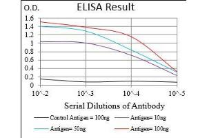 ELISA image for anti-Integrin alpha M (ITGAM) (AA 623-728) antibody (ABIN1724905)