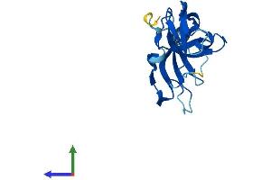 AlphaFold protein structure predicition of Human Recombinant IMMP2L Protein, UniprotID Q96T52