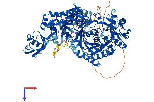 PIWIL1 Protein (AA 1-861) (His tag)