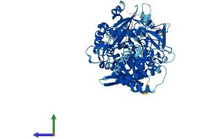 Protein Structure (PS) image for Acyl-CoA Synthetase Bubblegum Family Member 2 (ACSBG2) (AA 1-667) protein (His tag) (ABIN7557015)