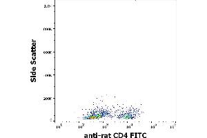 Flow cytometry surface staining pattern of rat thymocytes stained using anti-rat CD4 (OX-35) FITC antibody (concentration in sample 1 μg/mL). (CD4 Antikörper  (FITC))