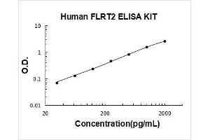 Fibronectin Leucine Rich Transmembrane Protein 2 (FLRT2) ELISA Kit