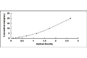 Typical standard curve (STAT6 ELISA Kit)