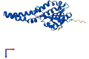 NAT8 Protein (AA 1-227) (His tag)